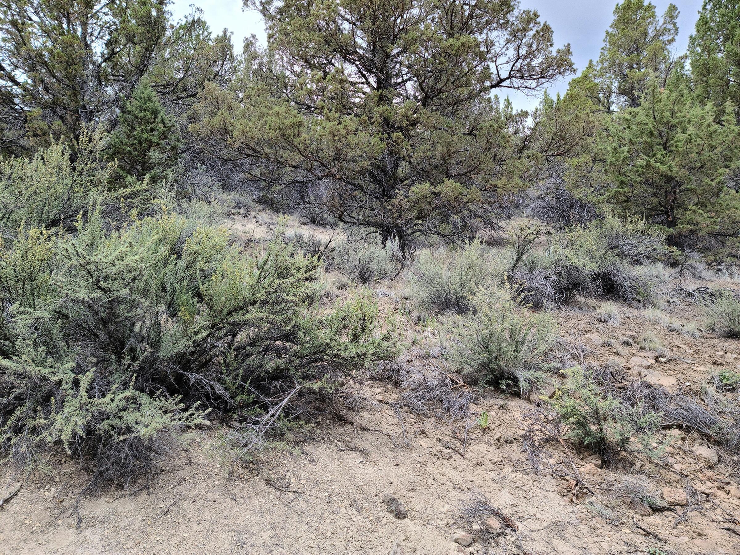 Nimrod River Park - Land