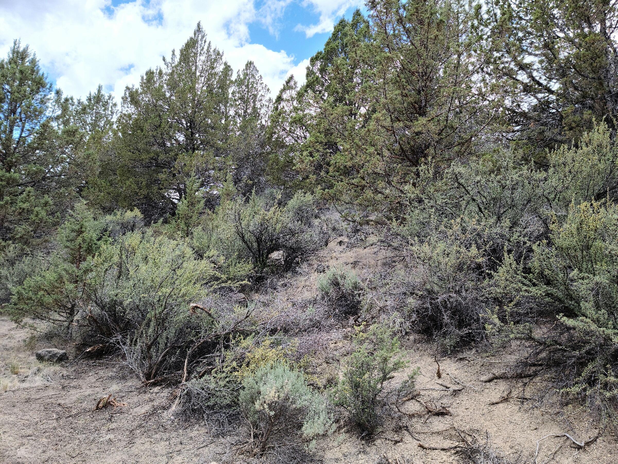 Nimrod River Park - Land