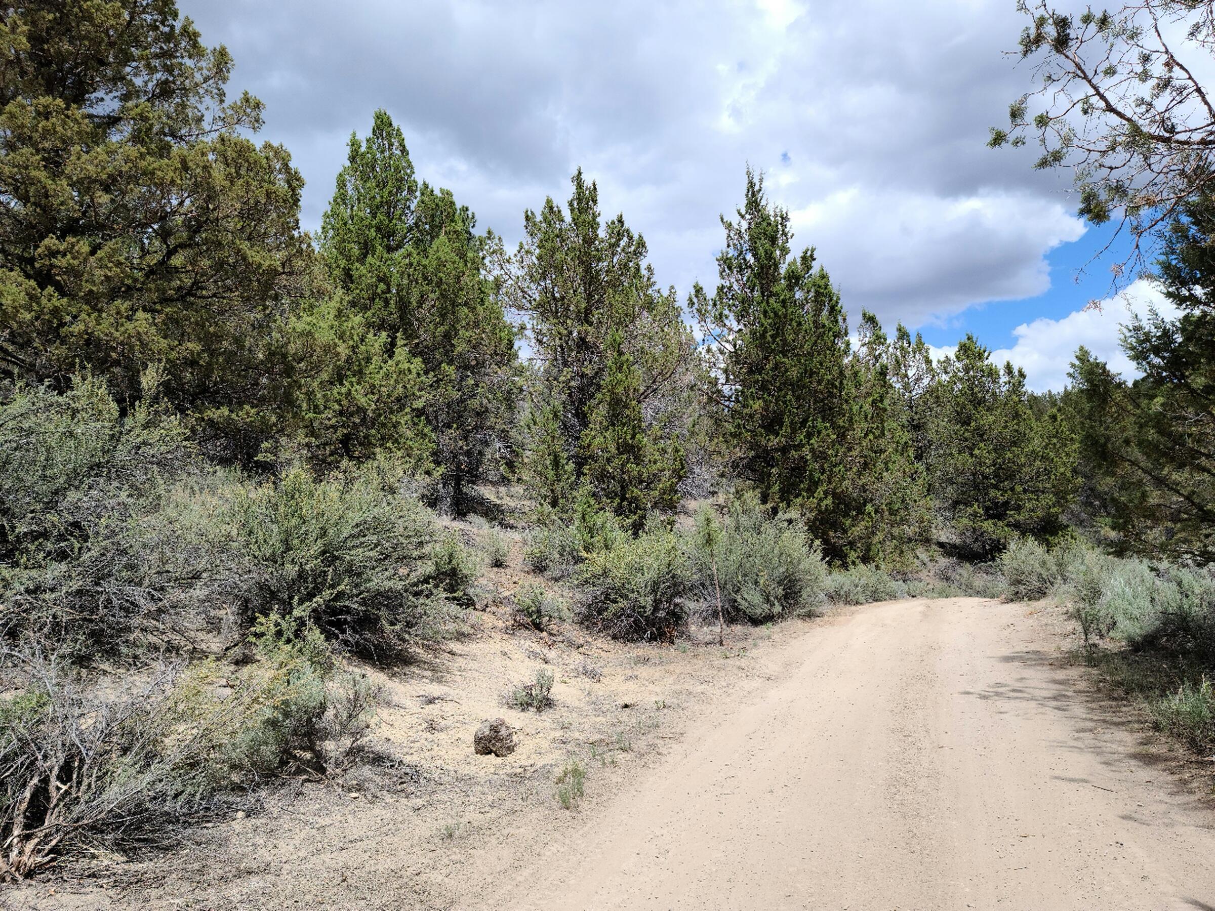 Nimrod River Park - Land