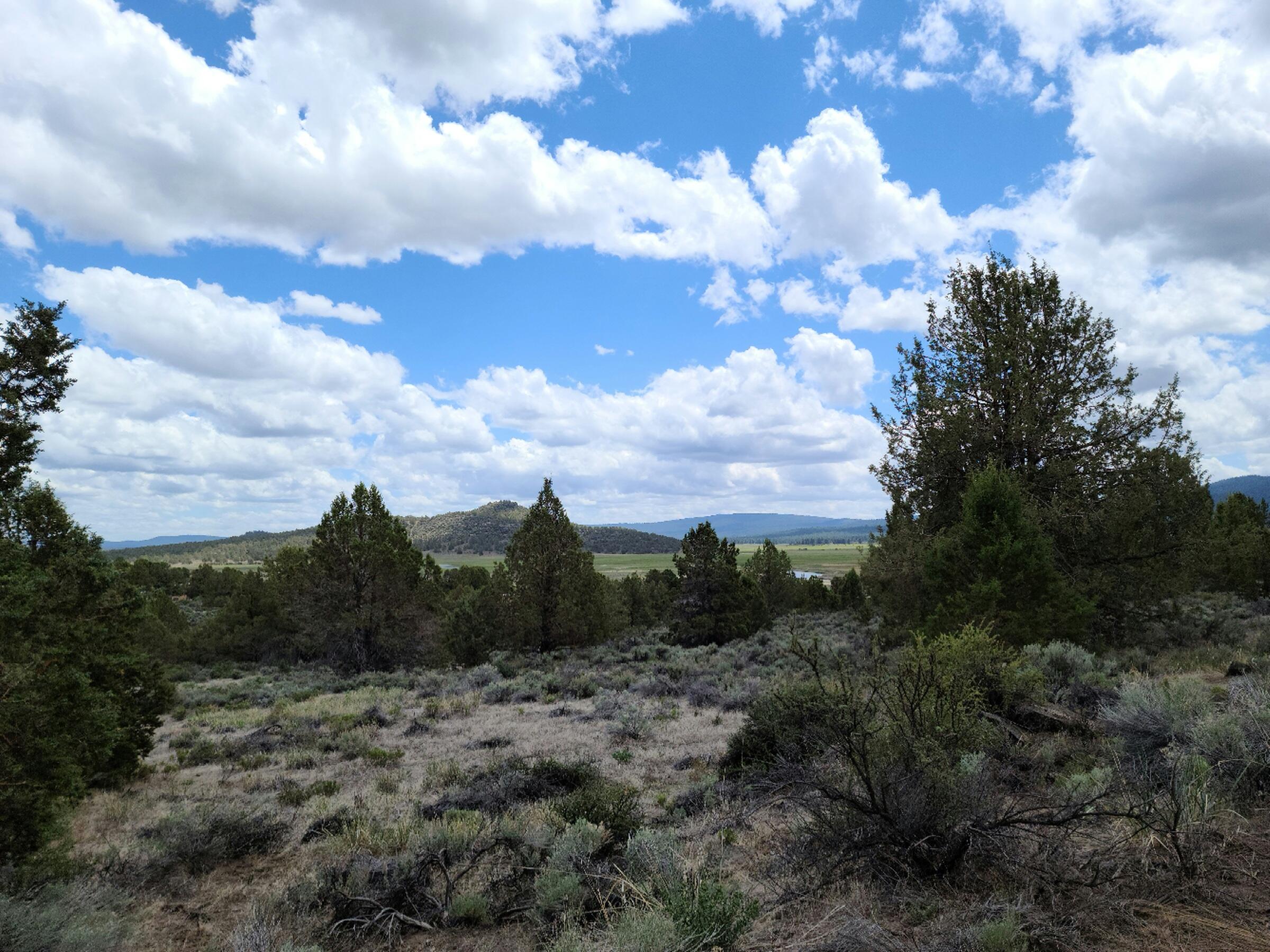 Nimrod River Park - Land