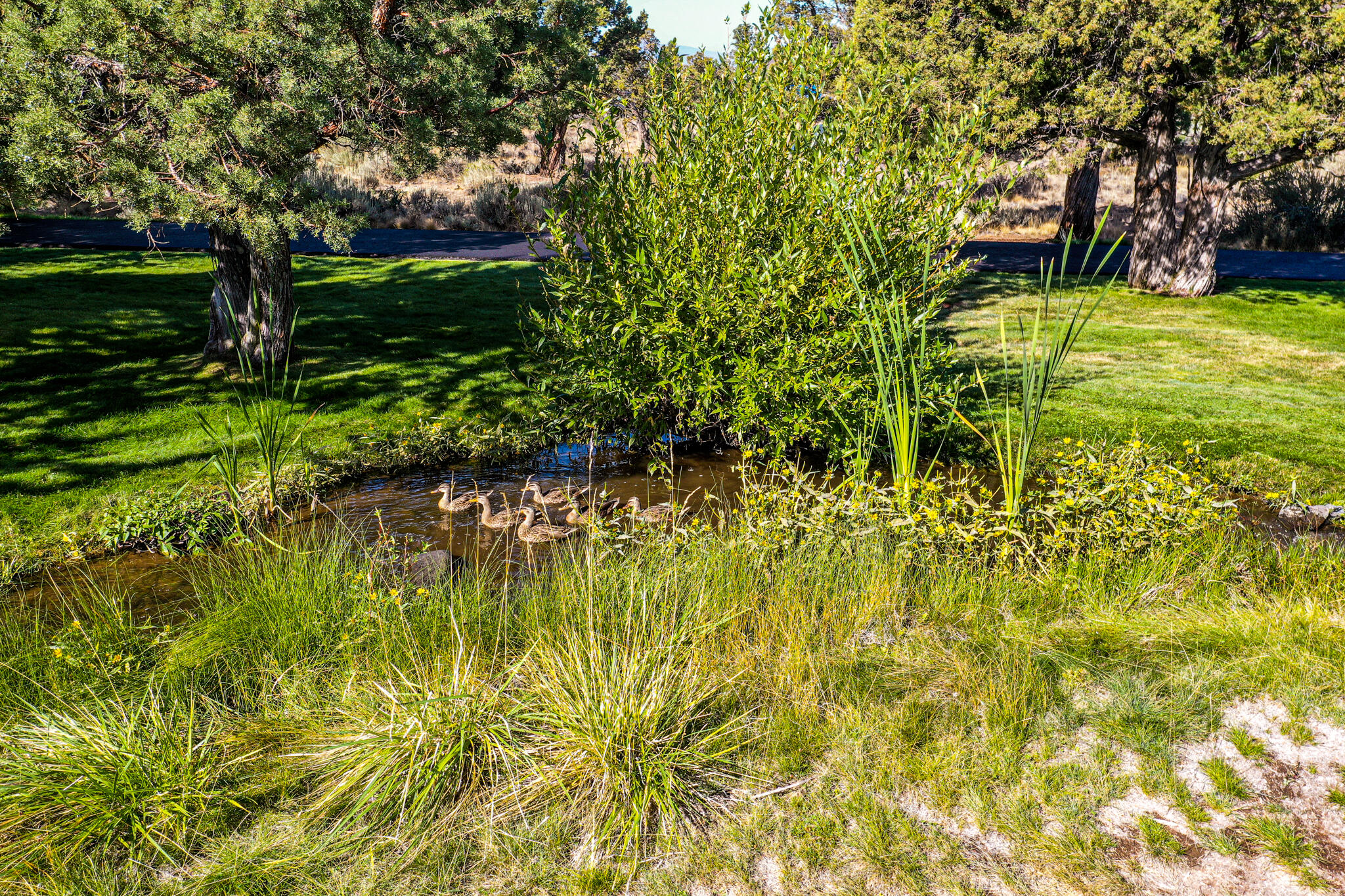 Eagle Crest - Residential