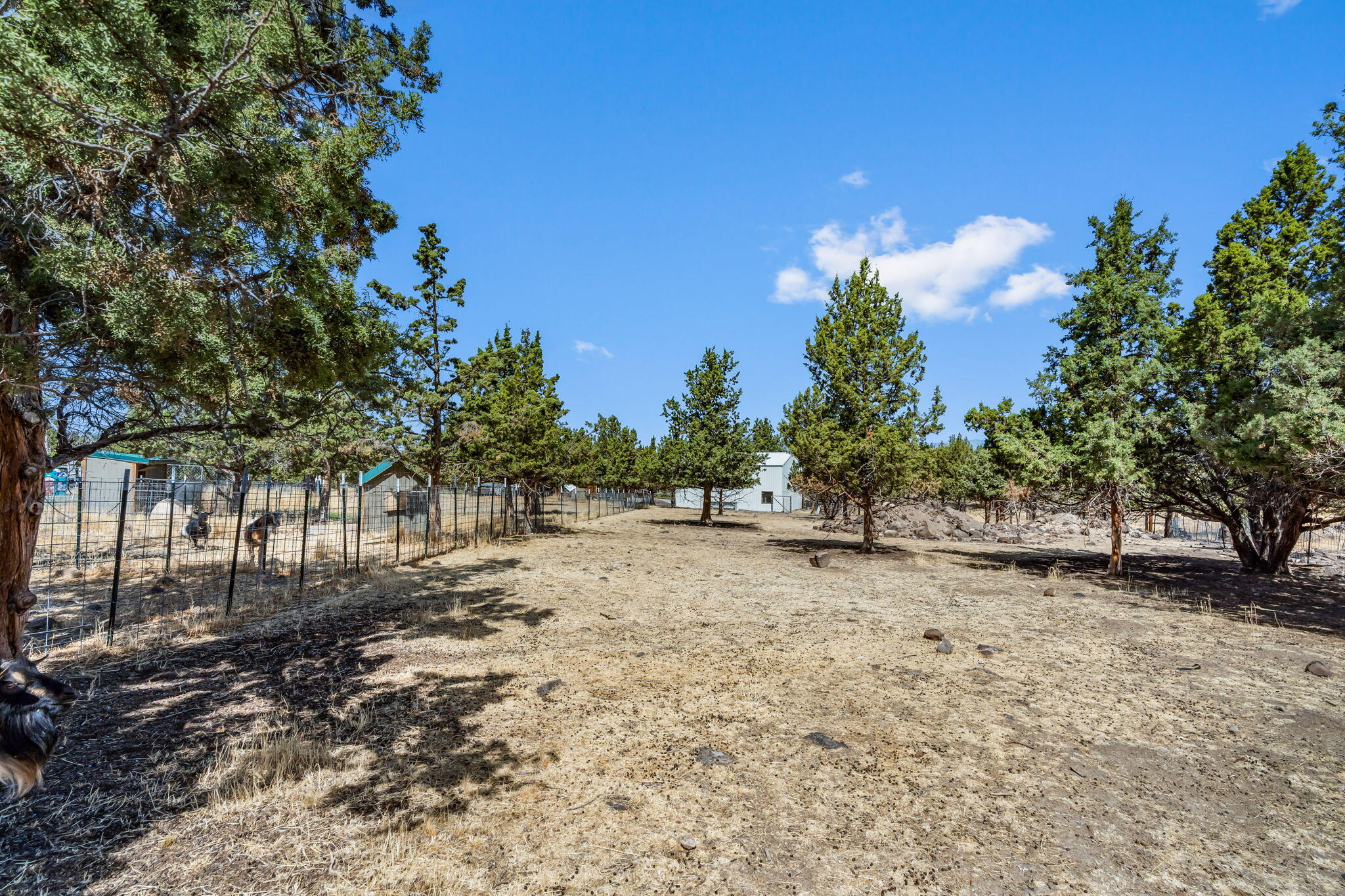 Juniper Heights - Residential