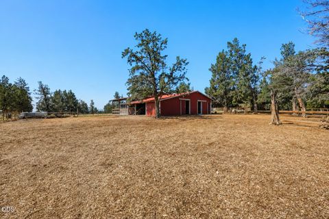 Tiny photo for 69175 Holmes Road, Sisters, OR 97759 (MLS # 220225624)