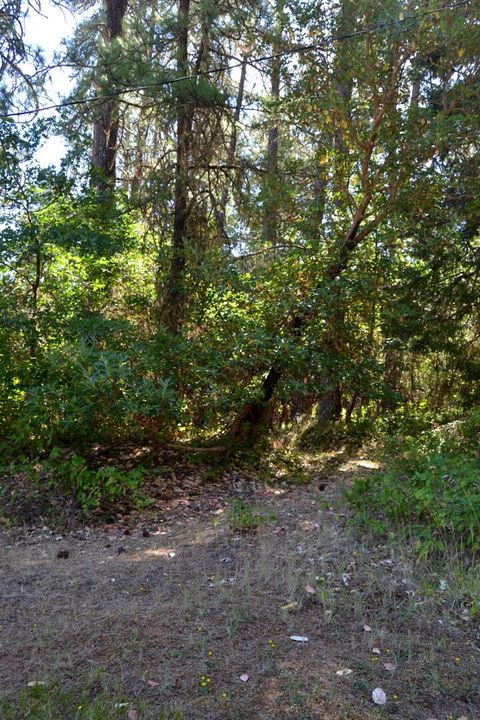 Tiny photo for 1100 Southside Road, Grants Pass, OR 97527 (MLS # 220219889)