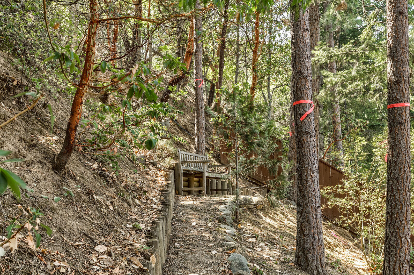 Timber Line Subdivision - Residential