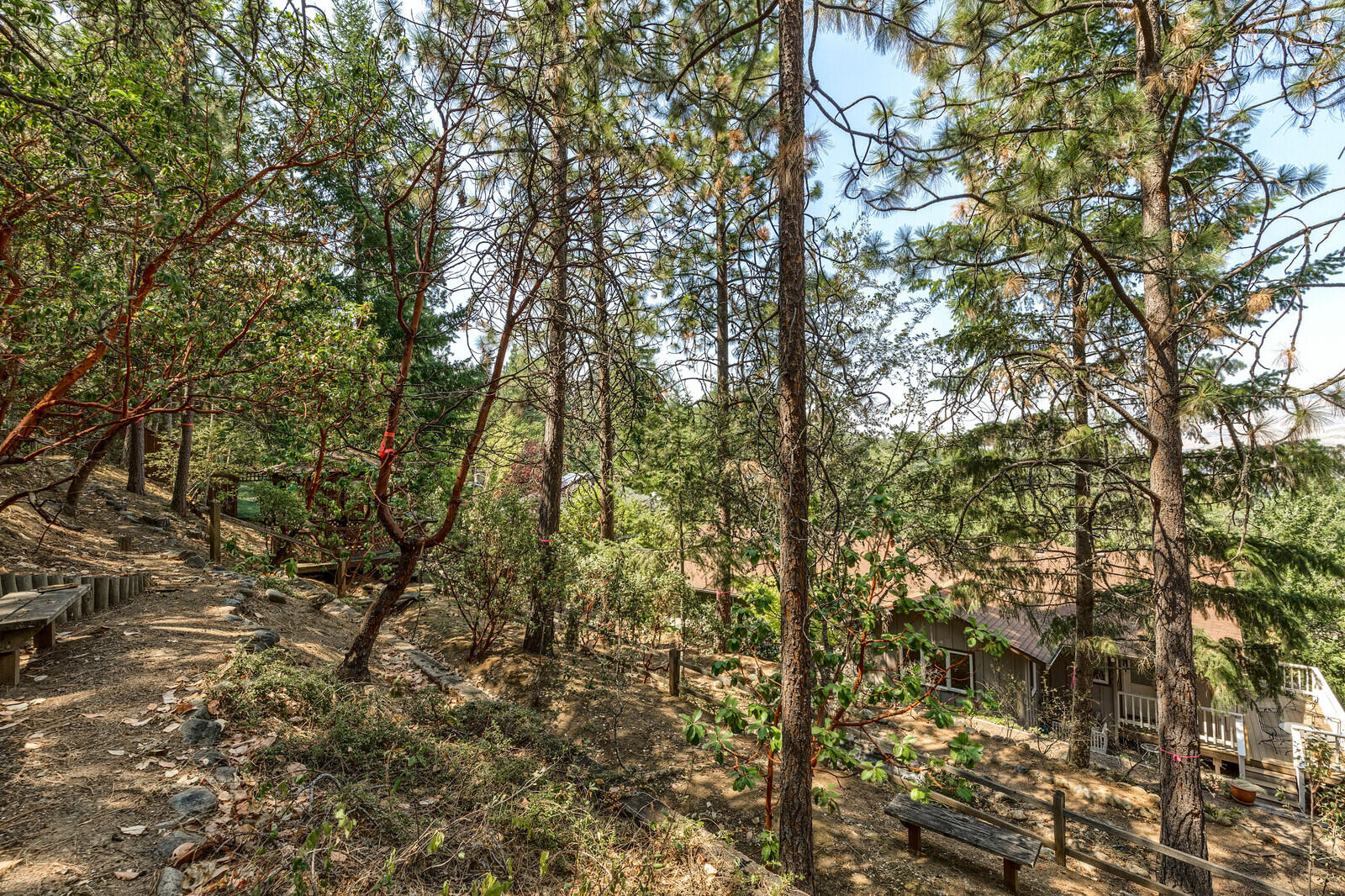 Timber Line Subdivision - Residential