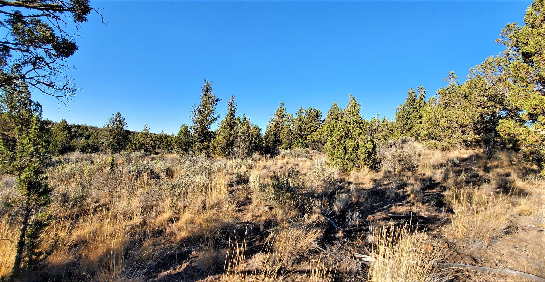 Longhorn Ridge - Land