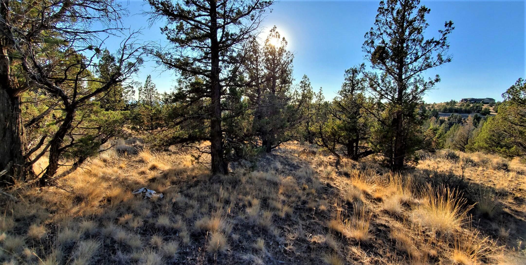 Longhorn Ridge - Land