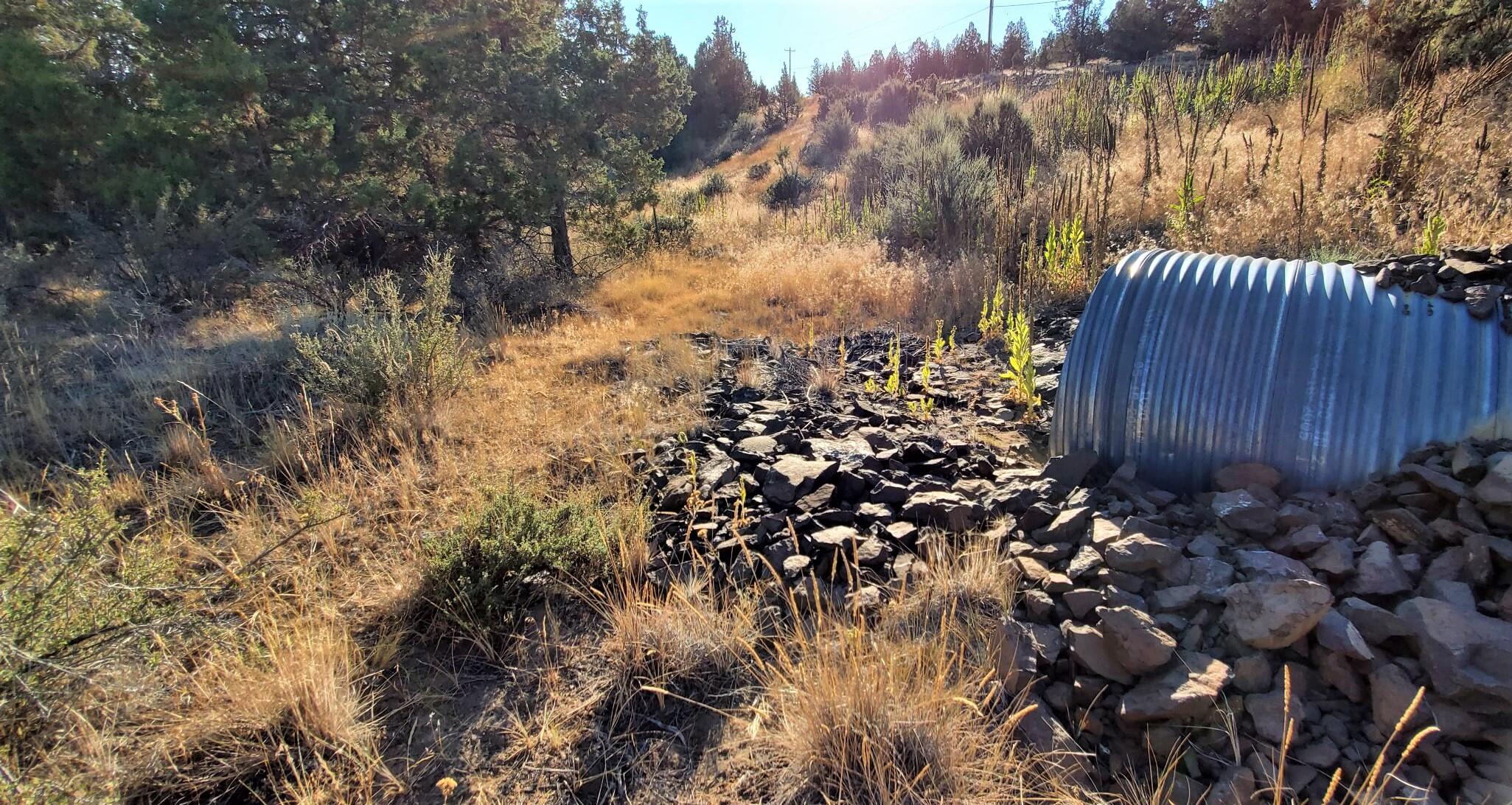 Longhorn Ridge - Land