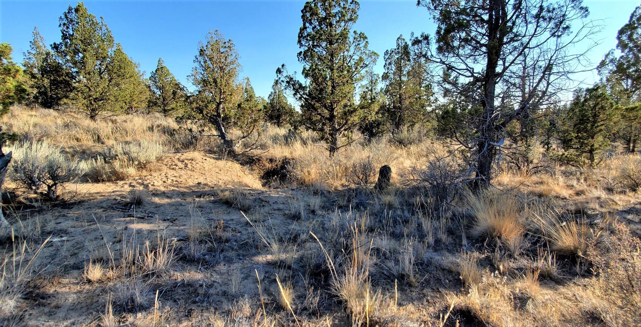 Longhorn Ridge - Land