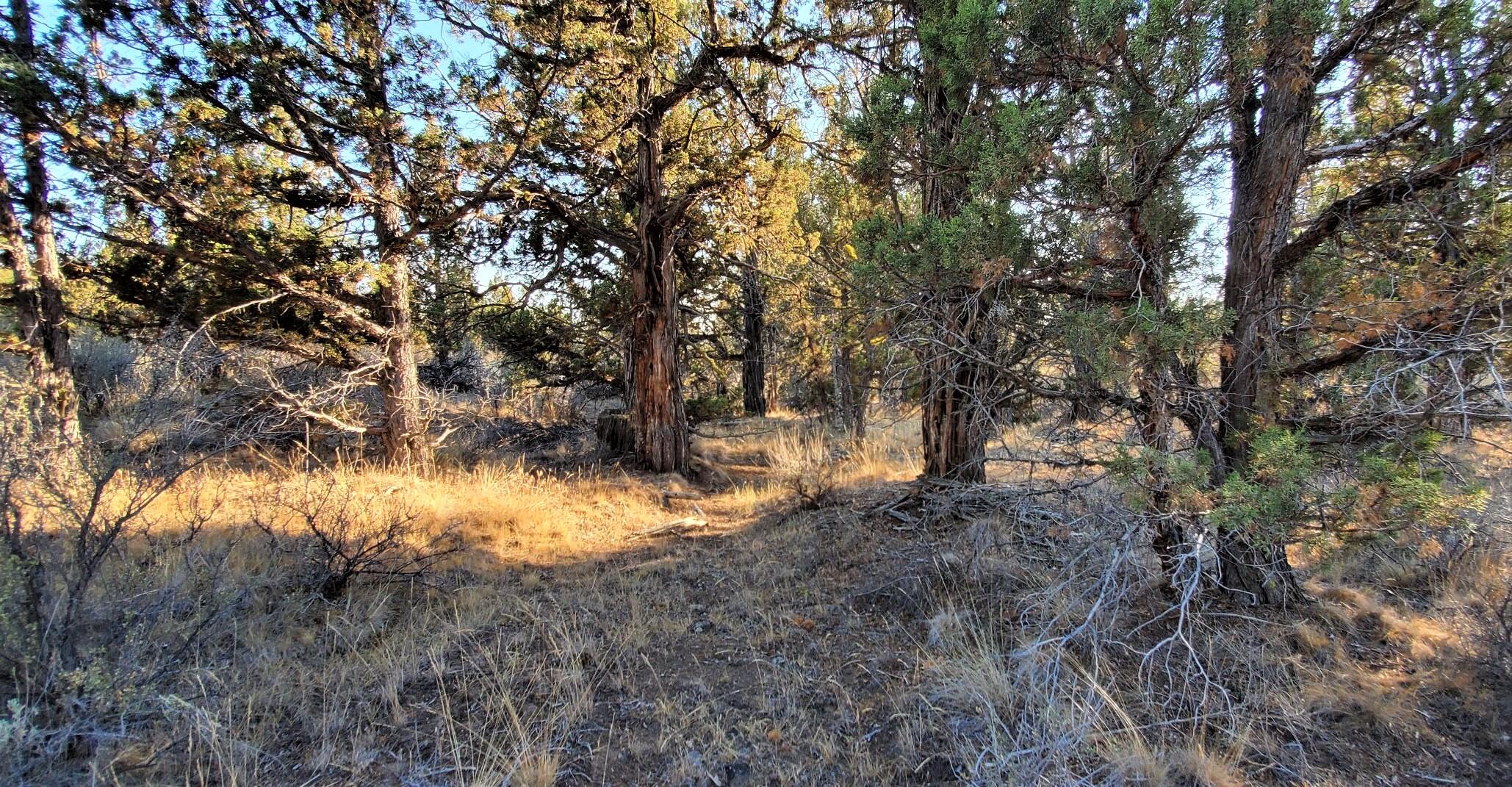 Longhorn Ridge - Land