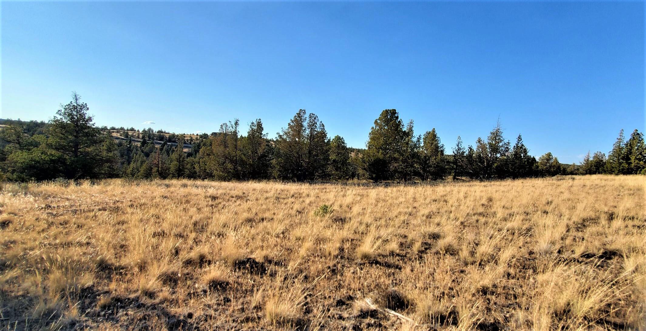 Longhorn Ridge - Land