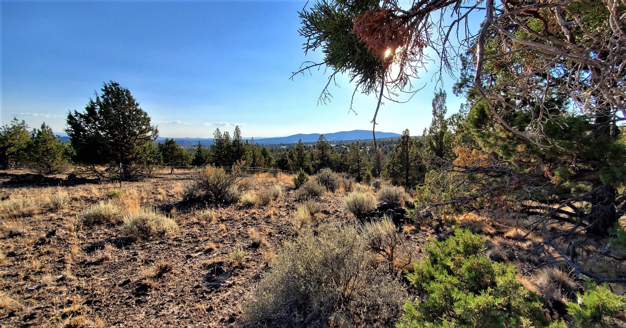 Longhorn Ridge - Land