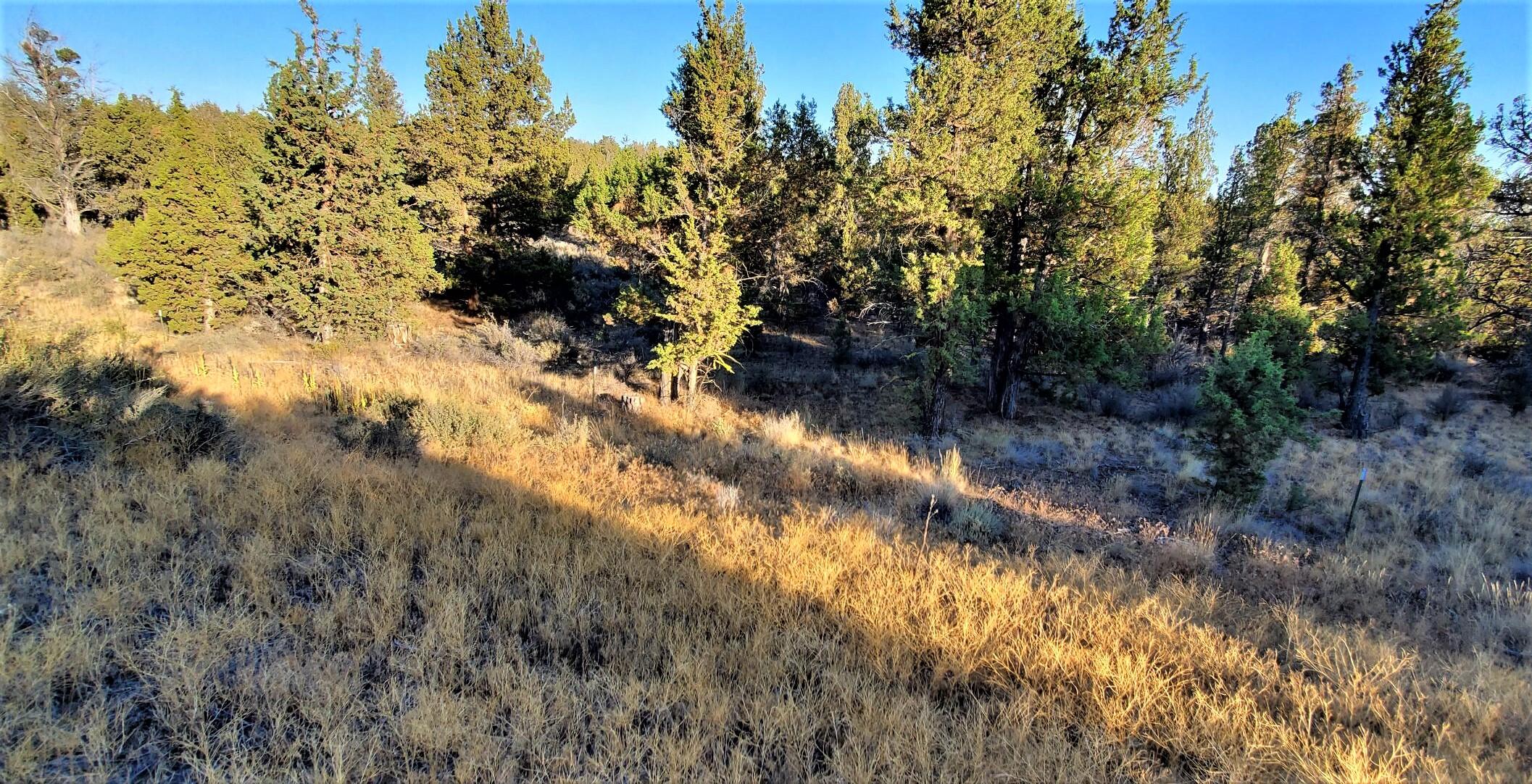 Longhorn Ridge - Land