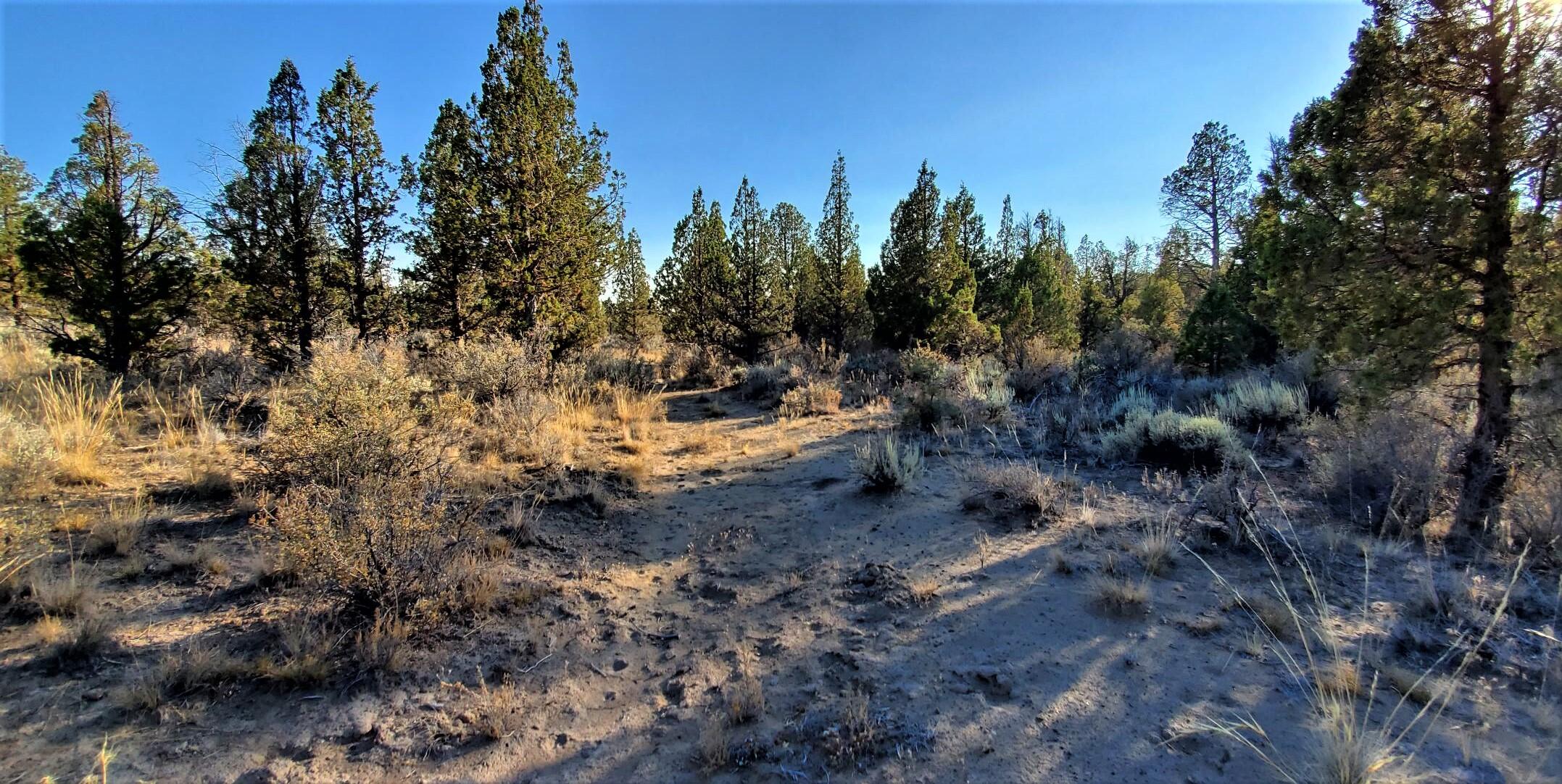 Longhorn Ridge - Land