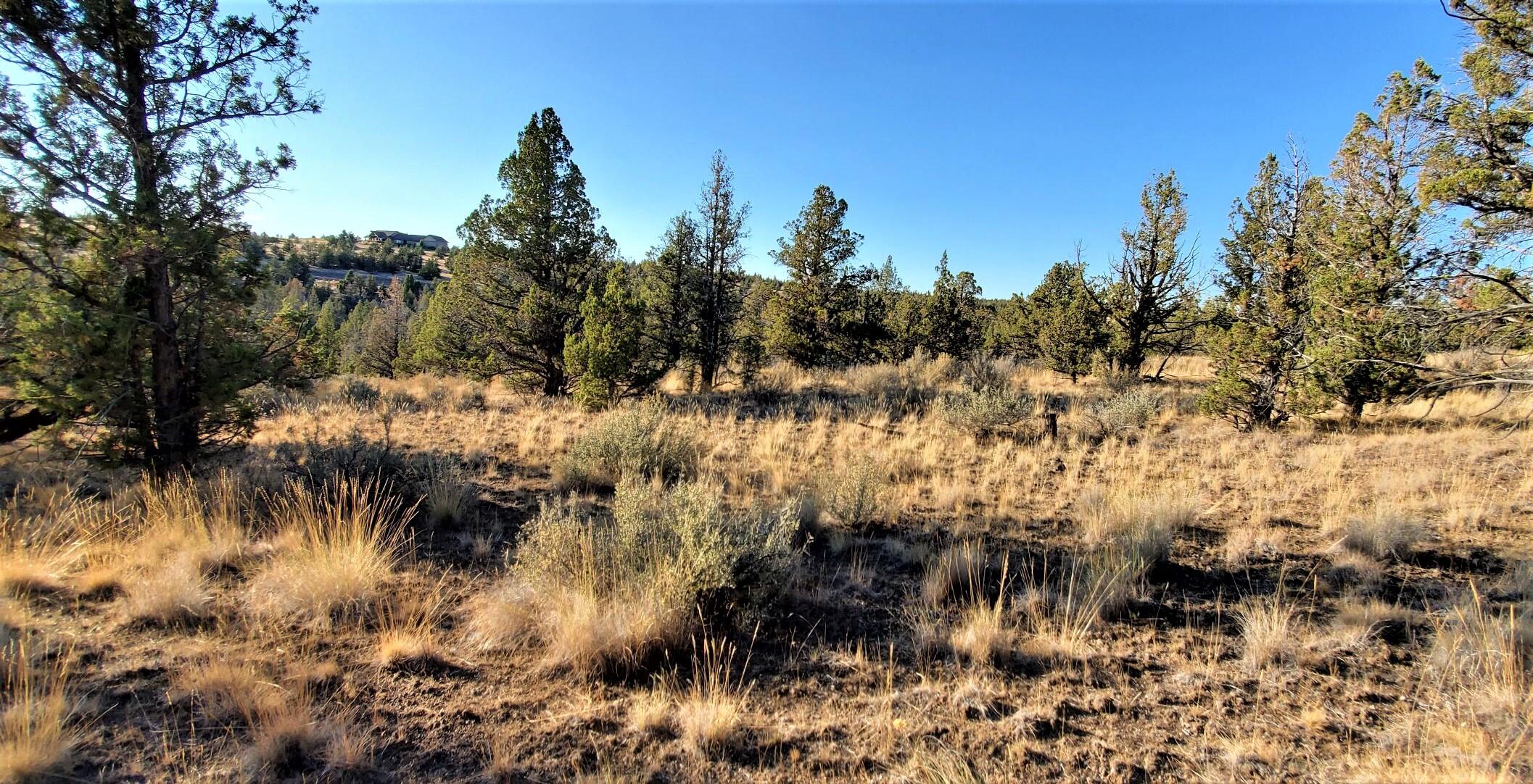 Longhorn Ridge - Land