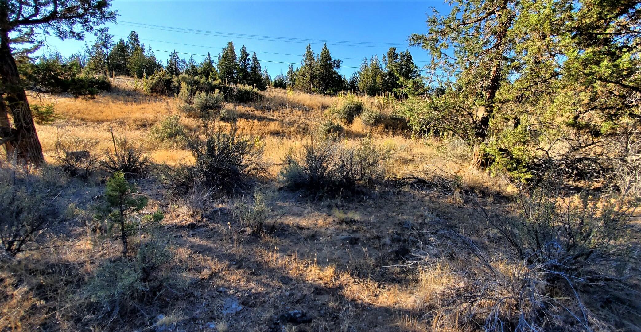 Longhorn Ridge - Land