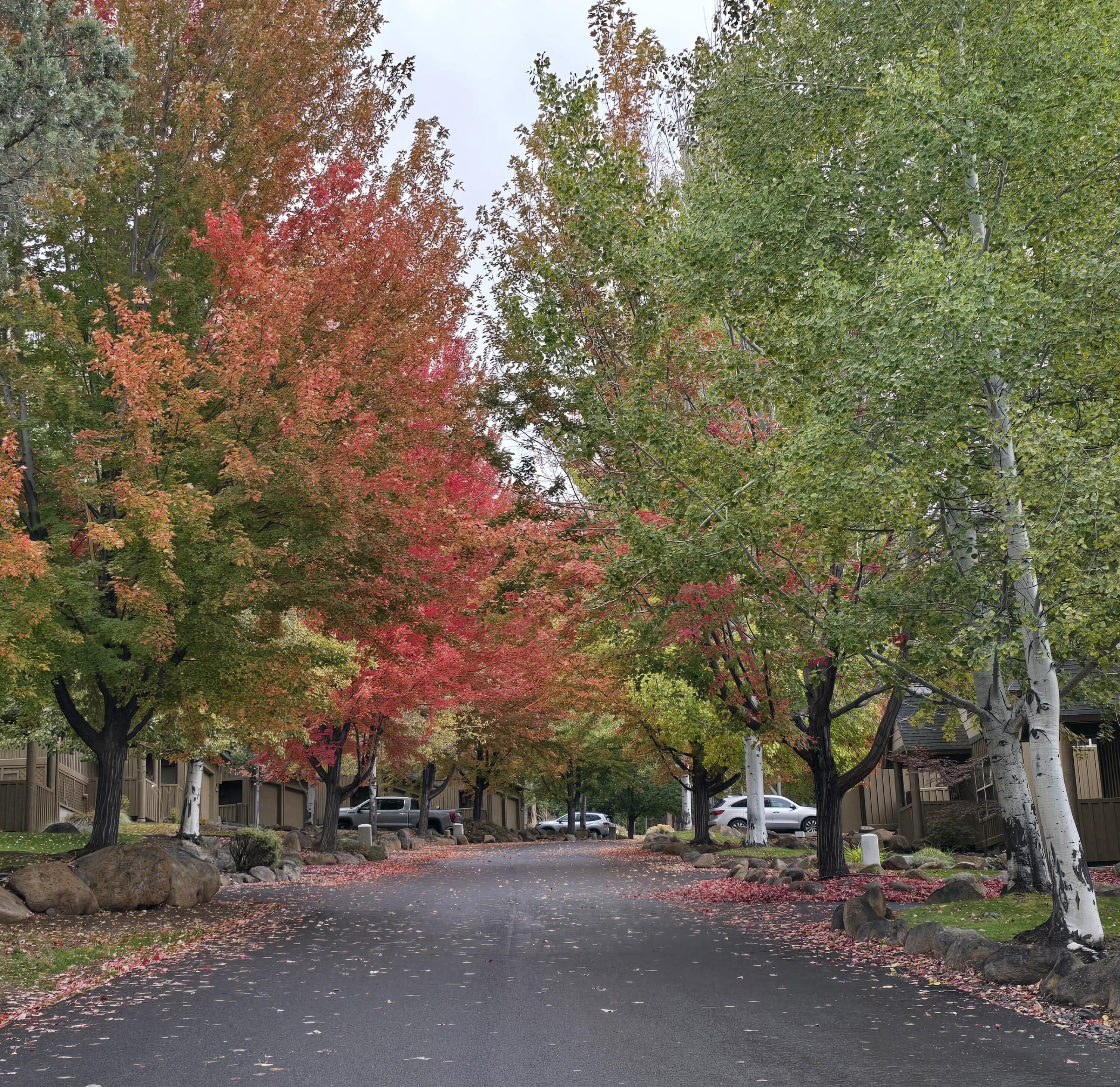 Running YResort - Residential