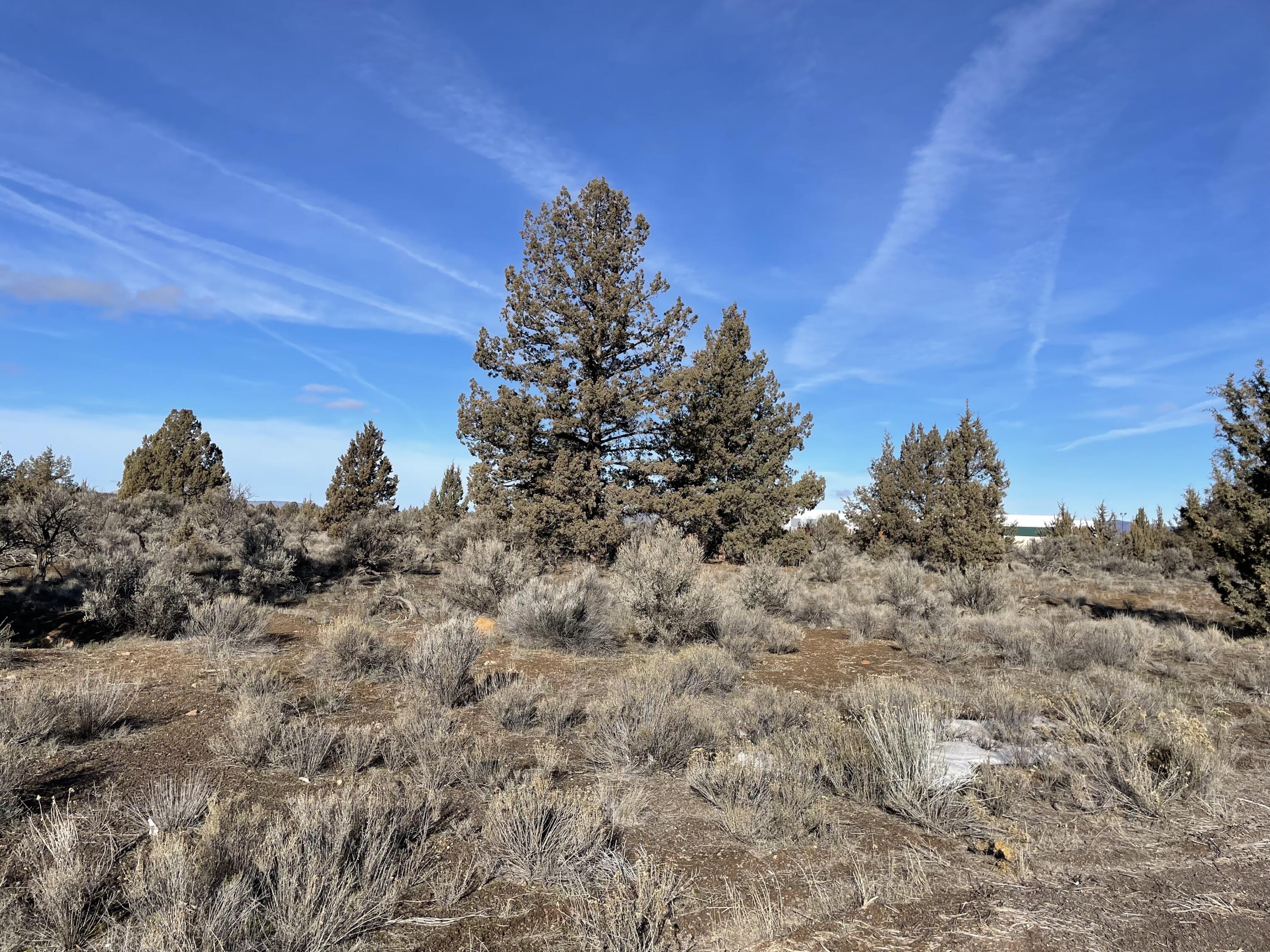 Tom McCall Bus/Ind. - Commercial Sale