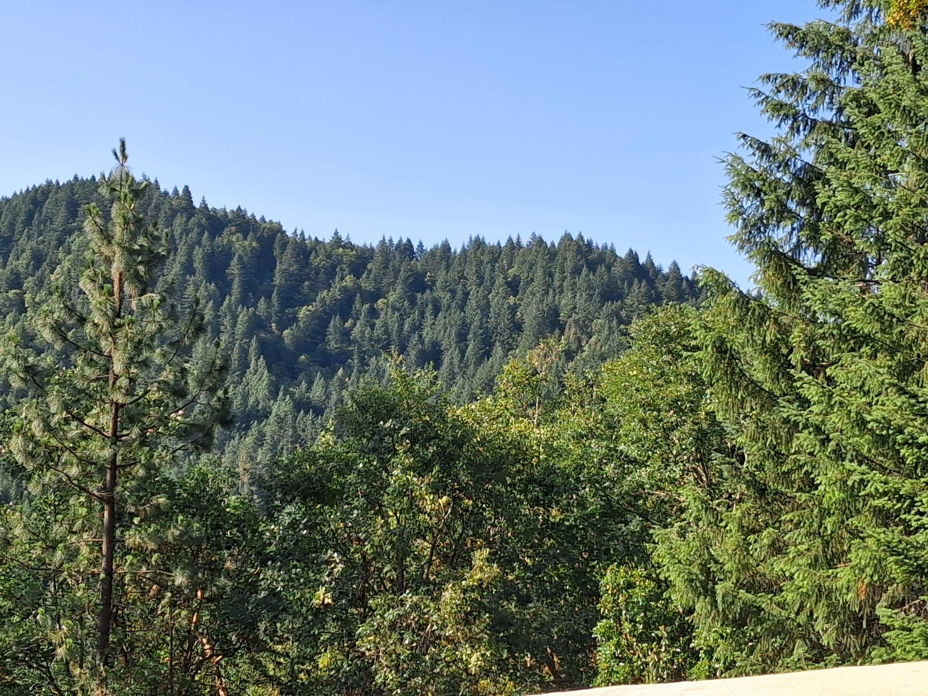 Allen Creek Estates - Land