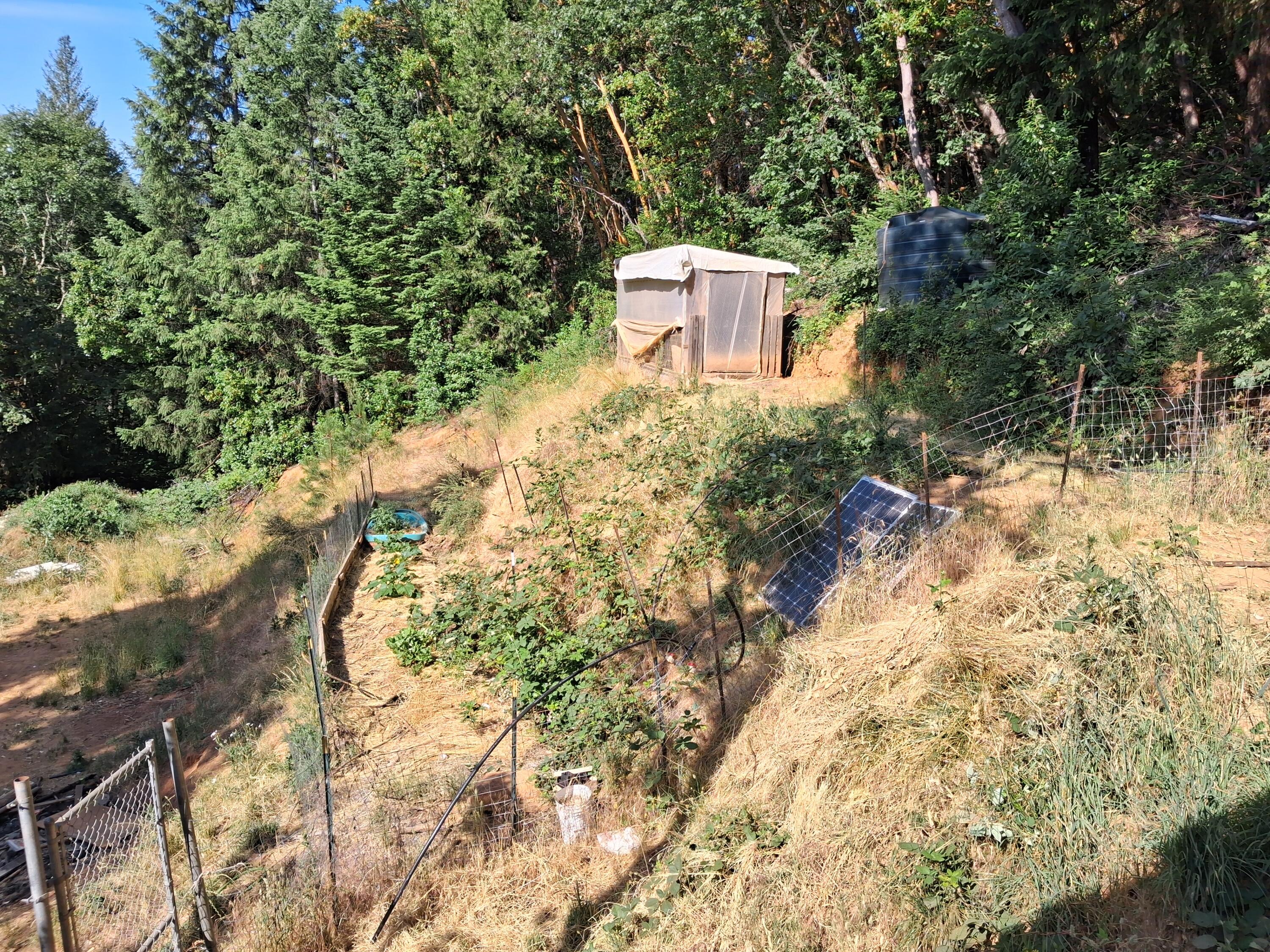 Allen Creek Estates - Land