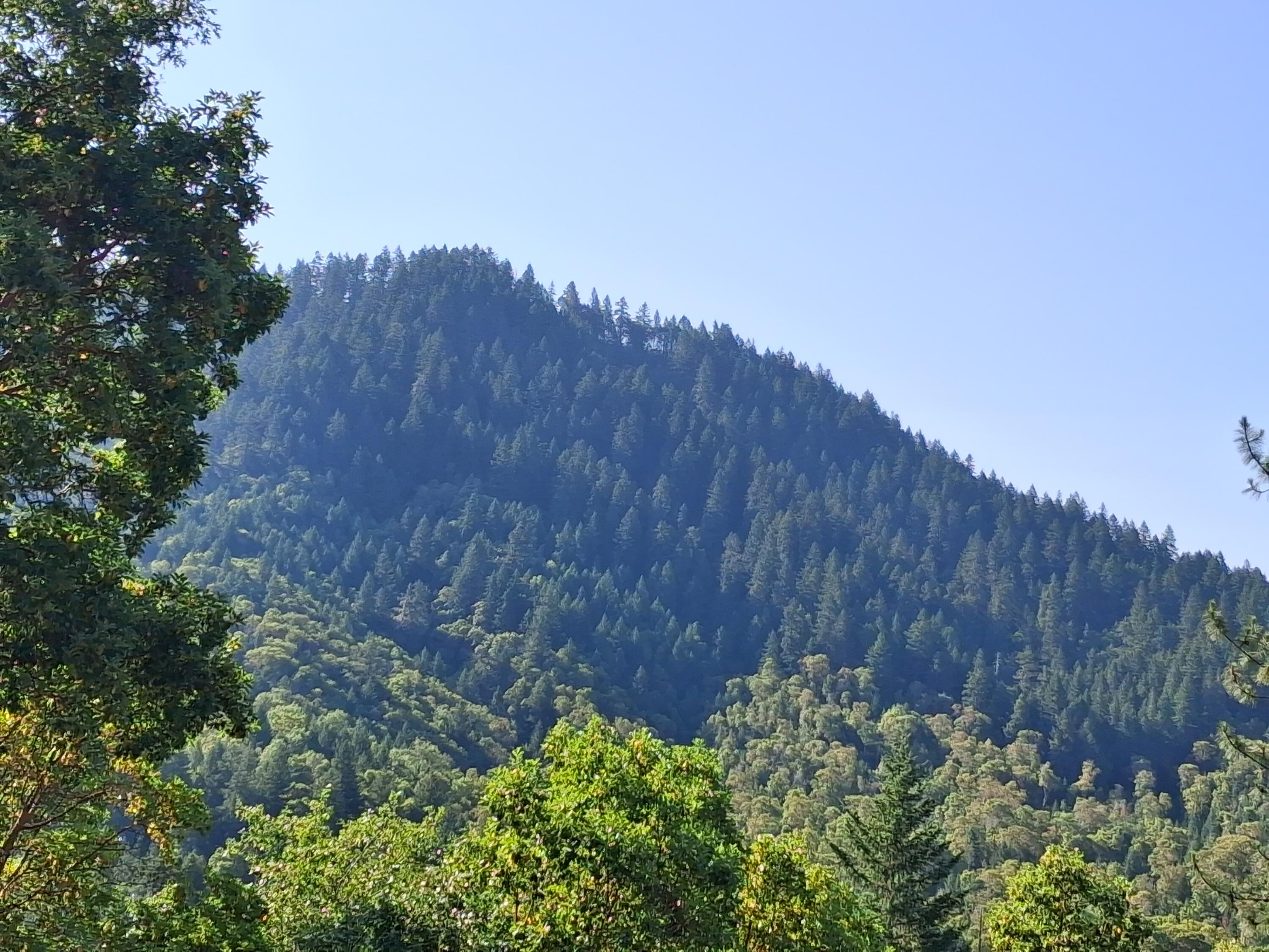 Allen Creek Estates - Land