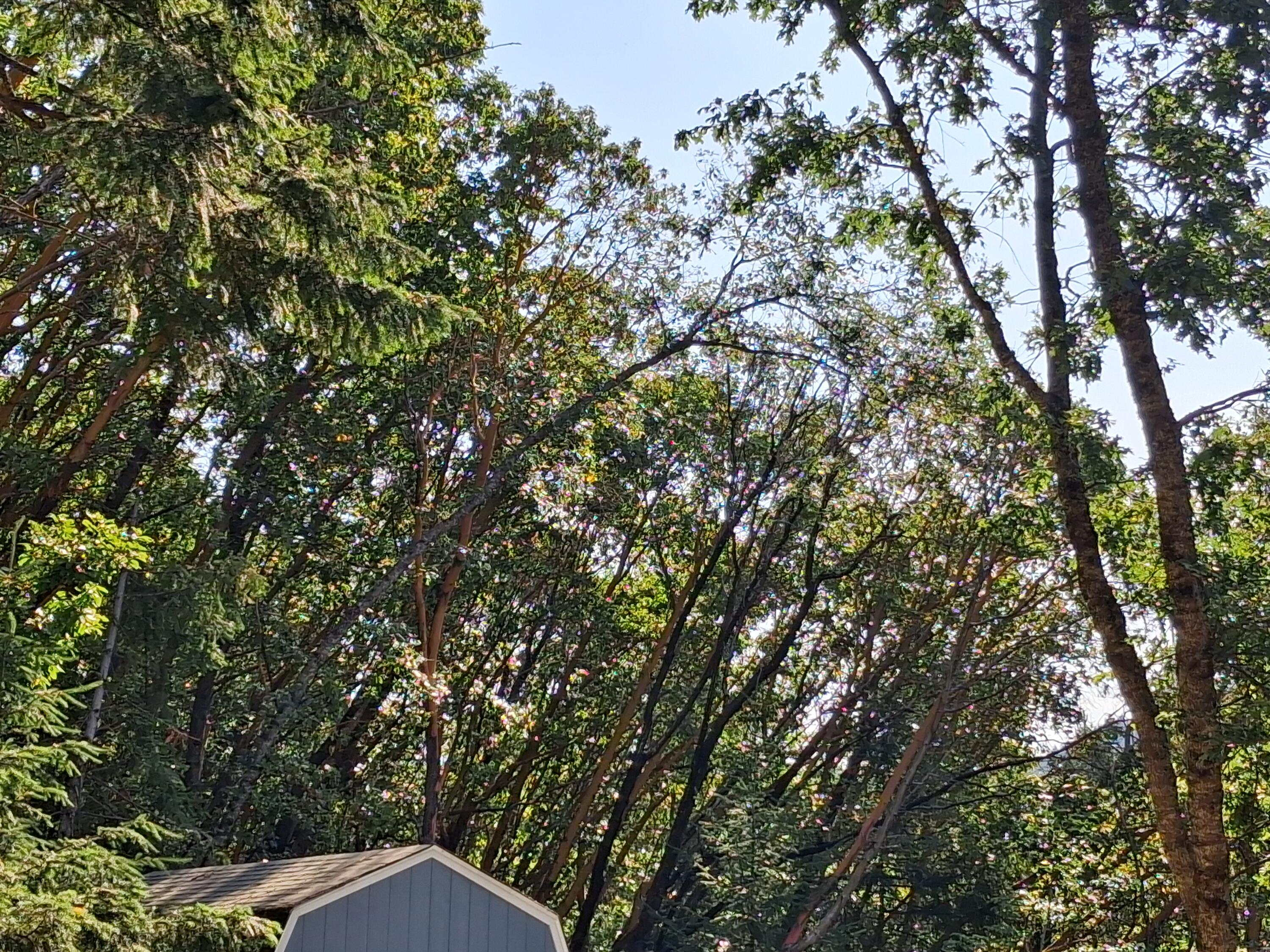 Allen Creek Estates - Land