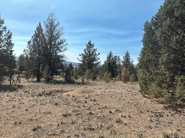 0 Mountain Mahogany Lane Lot 24