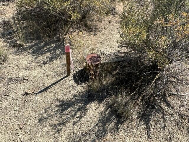 0 Mountain Mahogany Lane Lot 24