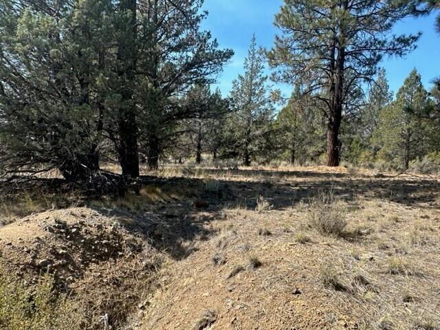 0 Mountain Mahogany Lane Lot 24