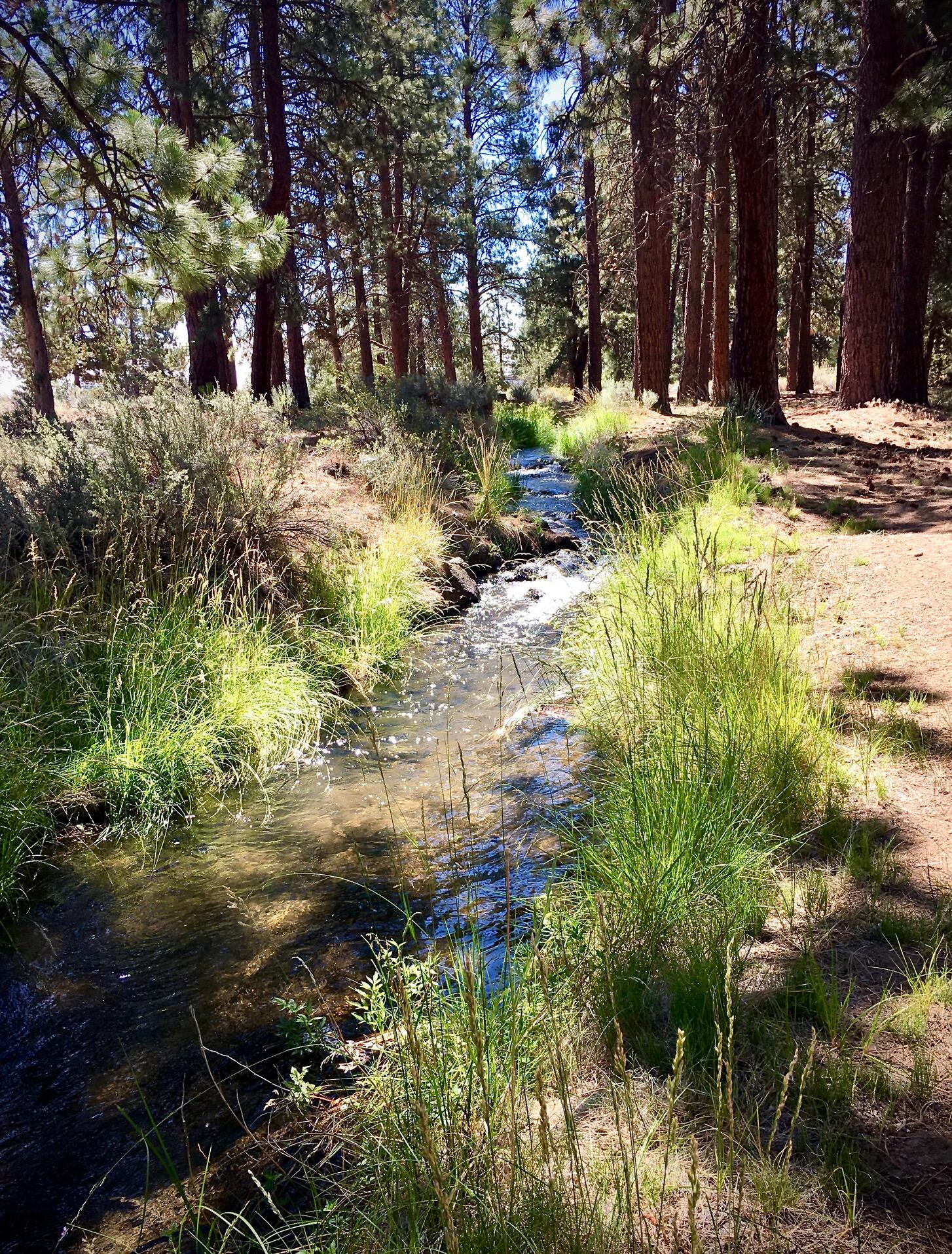 Pinebrook - Residential