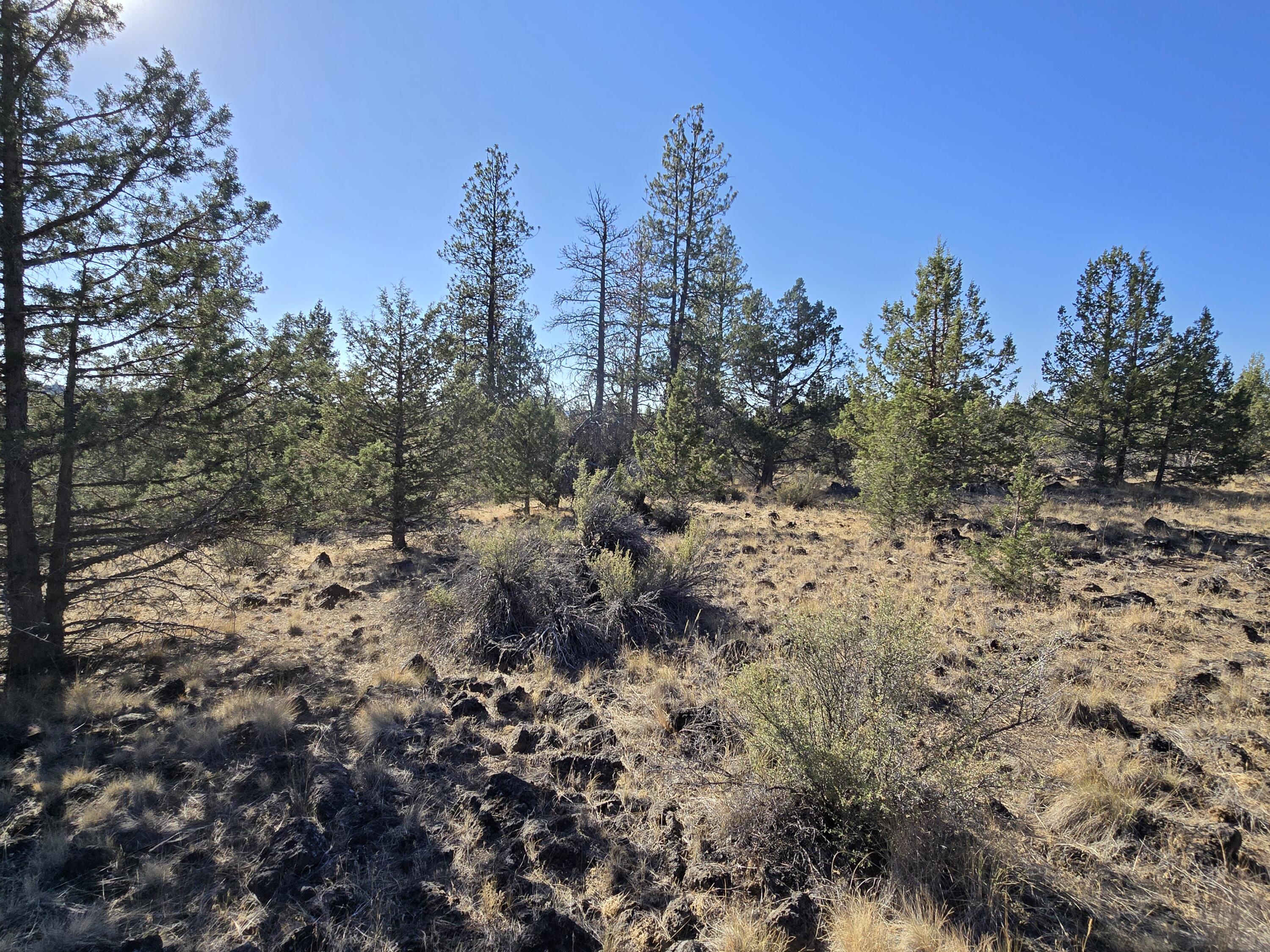 Klamath Falls Forest Estates -Hwy 66 Unit -Plat No. 2 - Land