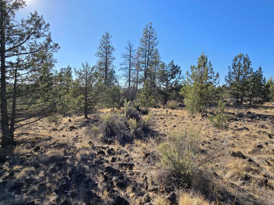 Come see this beautiful parcel located in the Klamath Falls Forest Estates. This lot has trees throughout, lots of native vegetation, and plenty of opportunities to build your dream home. Located just a short drive from the highway on a well-kept gravel road. The dense forestry surrounding it offers privacy, while the convenient location allows easy access to major roads. Zoned R2, there should be little trouble getting permits to build. Don't miss out on your chance to own this little slice of paradise!