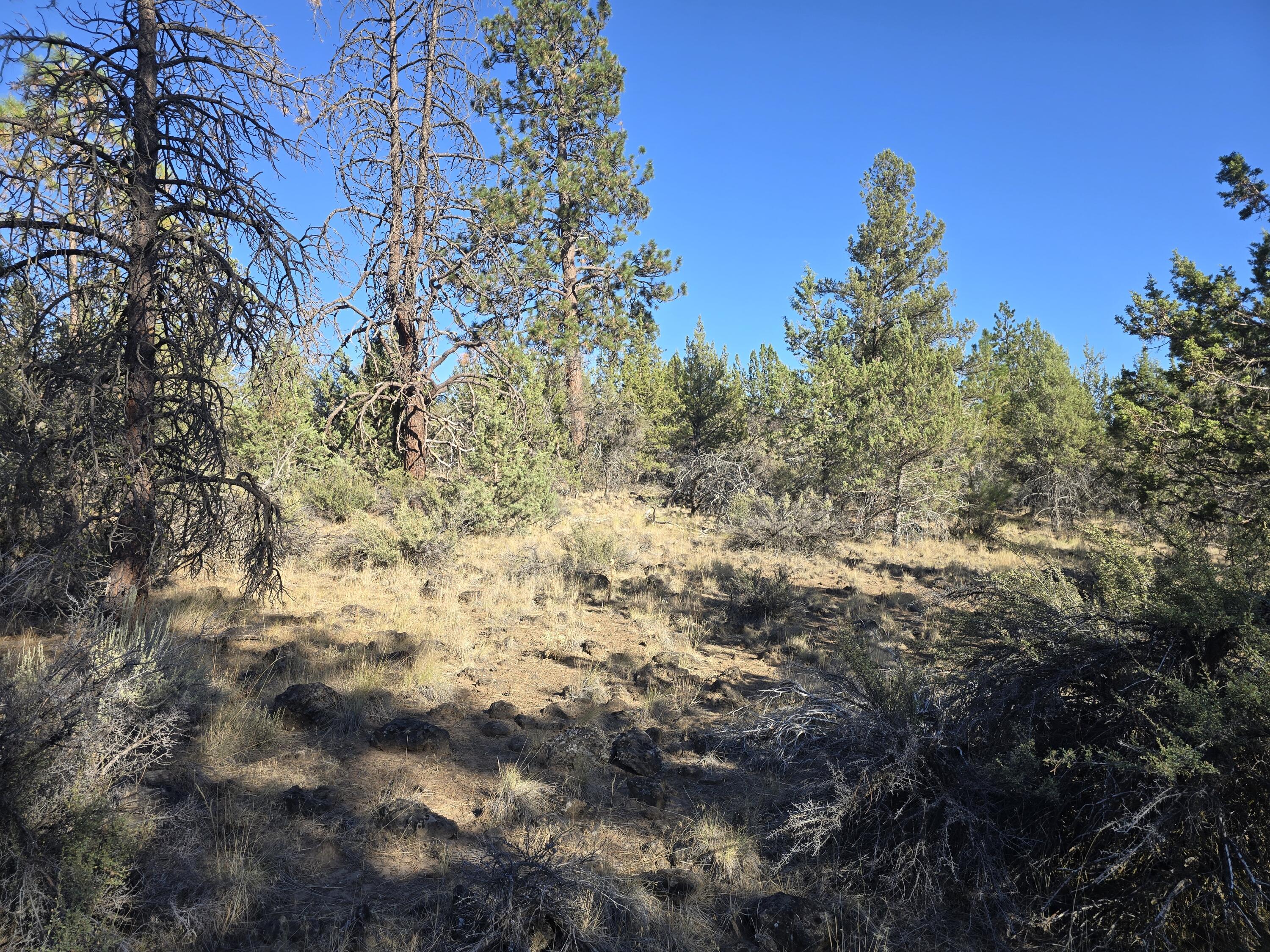 Klamath Falls Forest Estates -Hwy 66 Unit -Plat No. 2 - Land