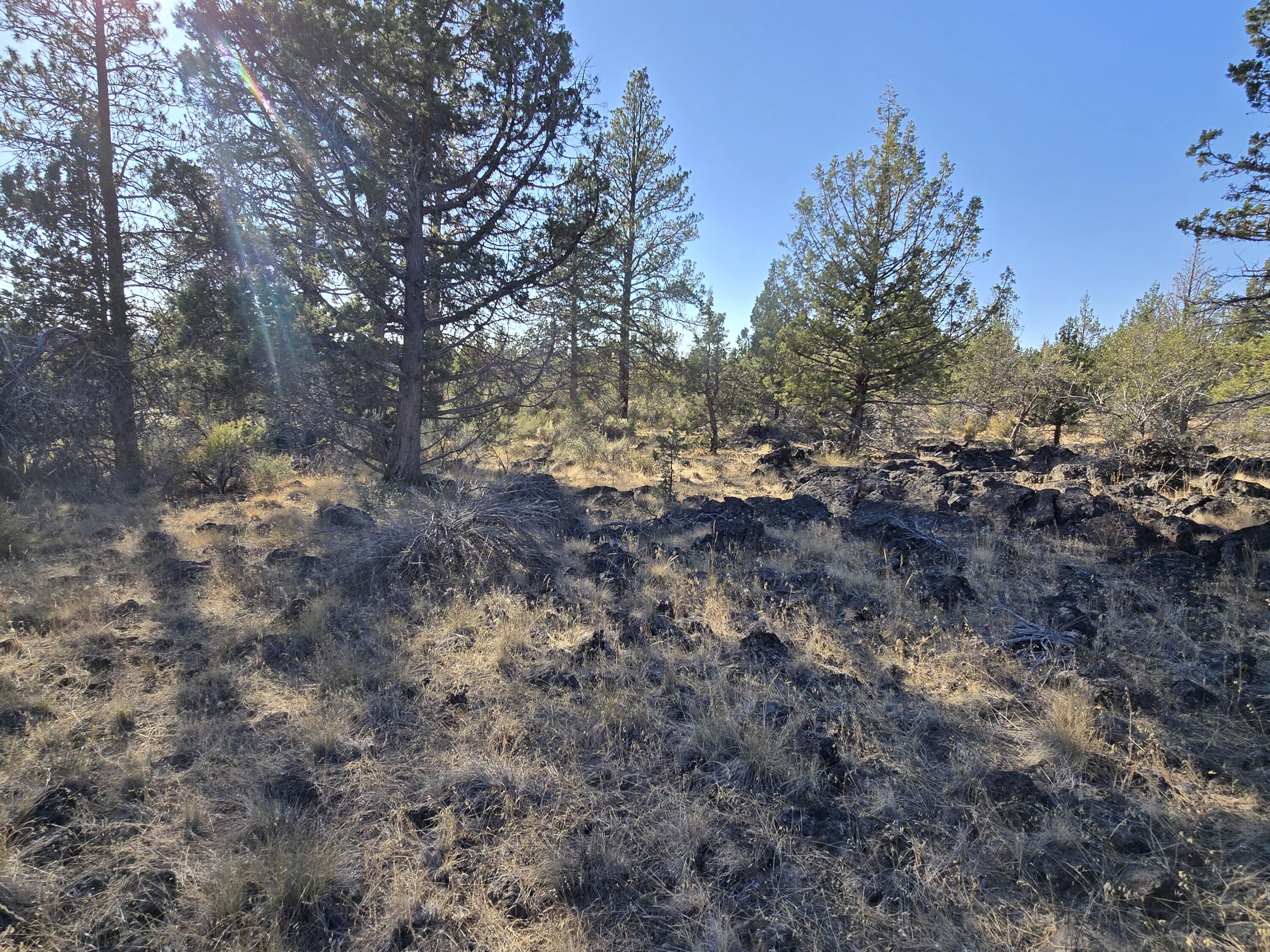 Klamath Falls Forest Estates -Hwy 66 Unit -Plat No. 2 - Land