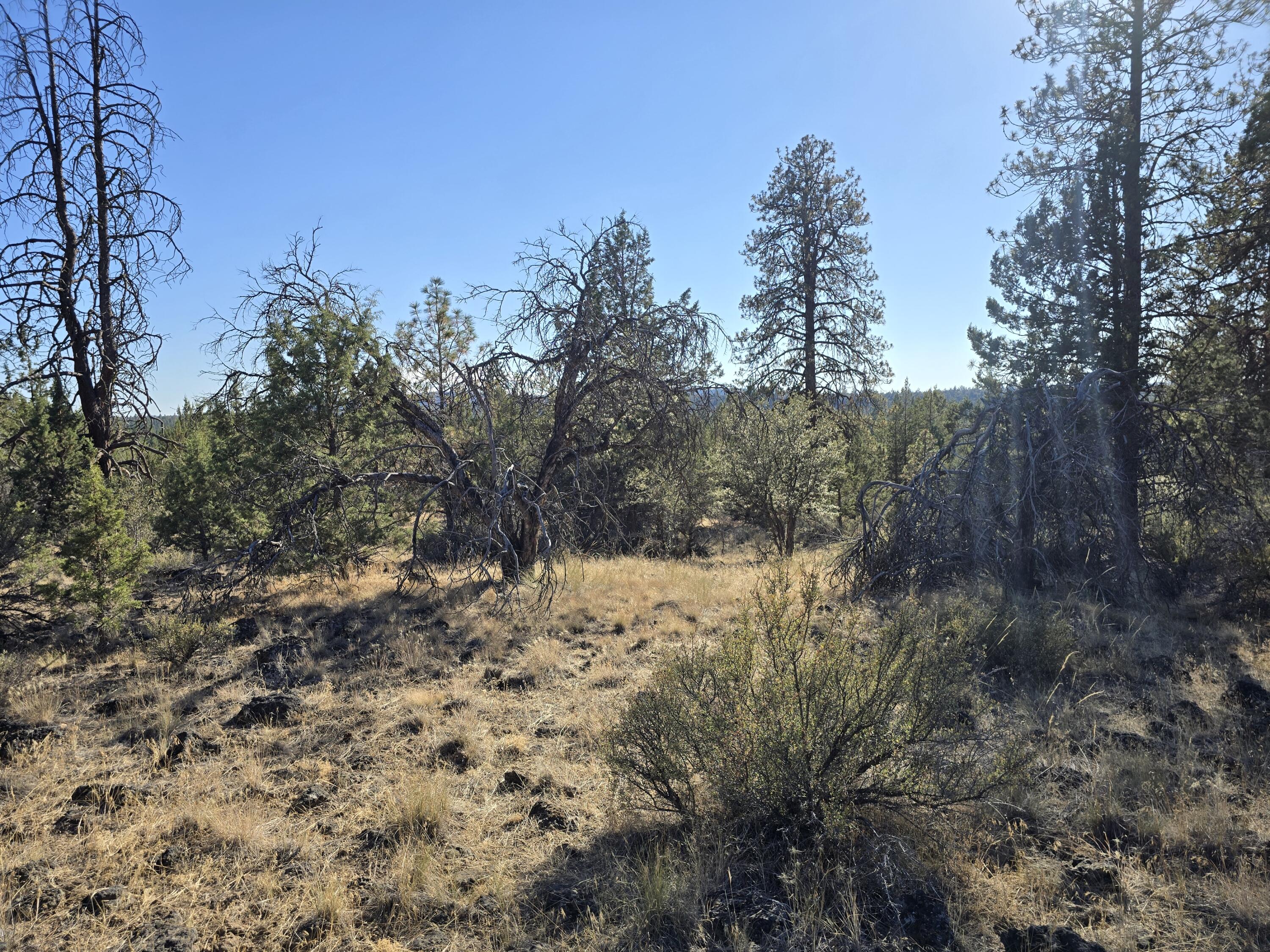 Klamath Falls Forest Estates -Hwy 66 Unit -Plat No. 2 - Land