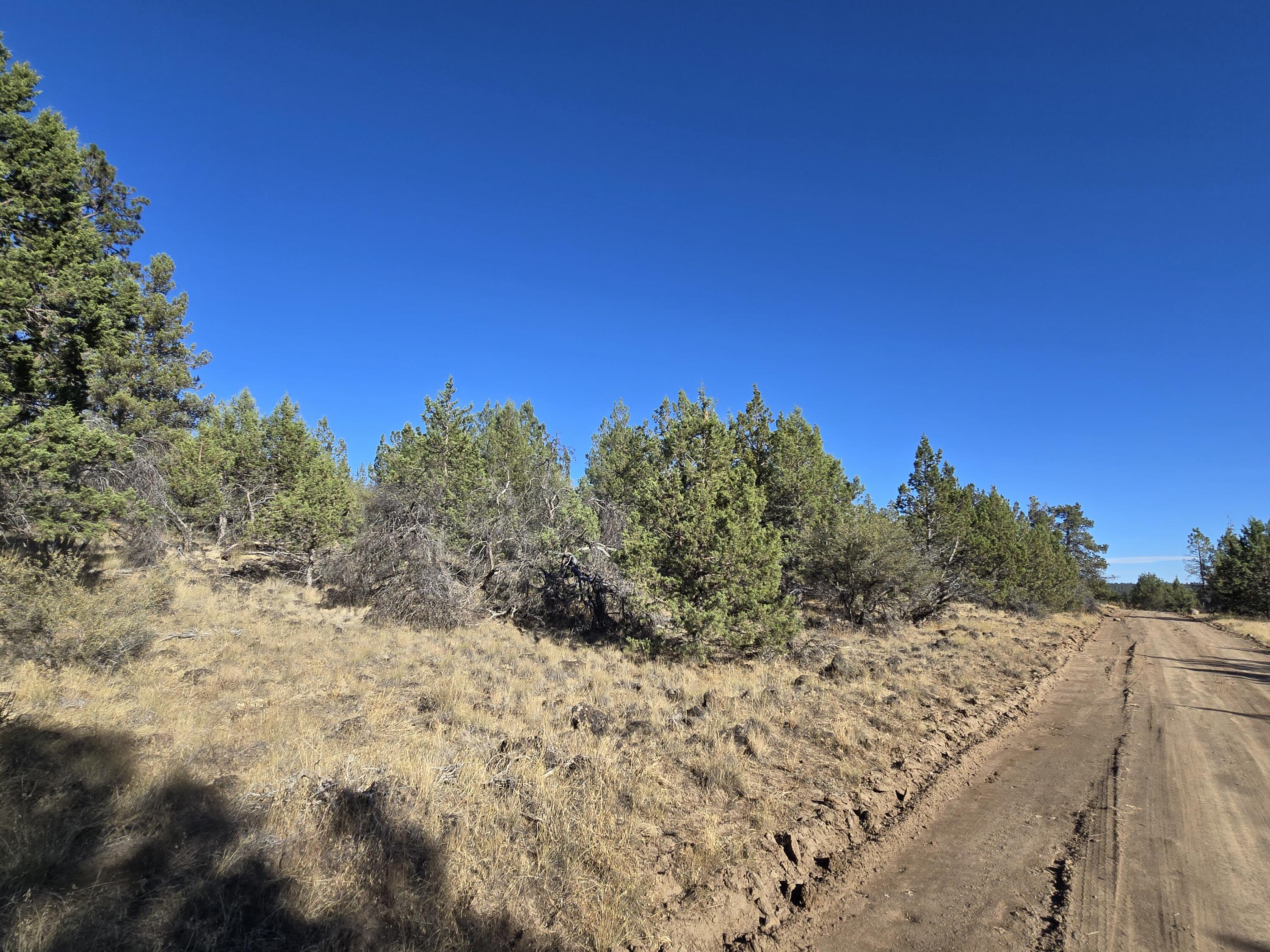 Klamath Falls Forest Estates -Hwy 66 Unit -Plat No. 2 - Land