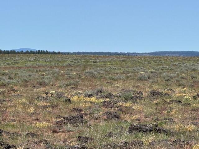 Rim Drive