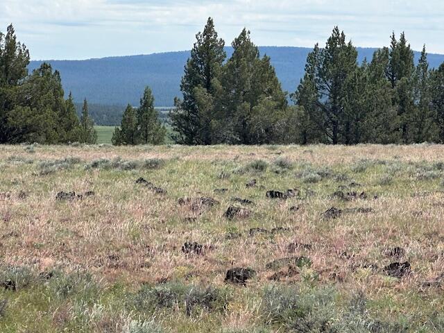 Rim Drive