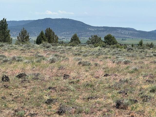 Rim Drive