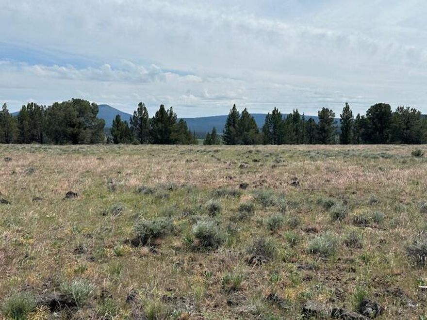 Lovely 1.71-acre parcel with scenic mountain views and dirt-gravel road access in the Nimrod River Park subdivision situated ideally on Rim Drive. It is a large parcel with expansive mountain views. There are trees to the rear of the parcel, so you have many options for privacy and seclusion if desired. Located just 15 minutes from Sprague River and just 60 minutes from Klamath Falls. No shortage of options to get your needed supplies. If you enjoy outdoor activities and love the forest lands, then this is the perfect location for a new, convenient homestead or homesite. It's a great sunny area with solar potential. This property is just 5-10 minutes from tens of thousands of acres of public forest lands, numerous mountain lakes, and streams.