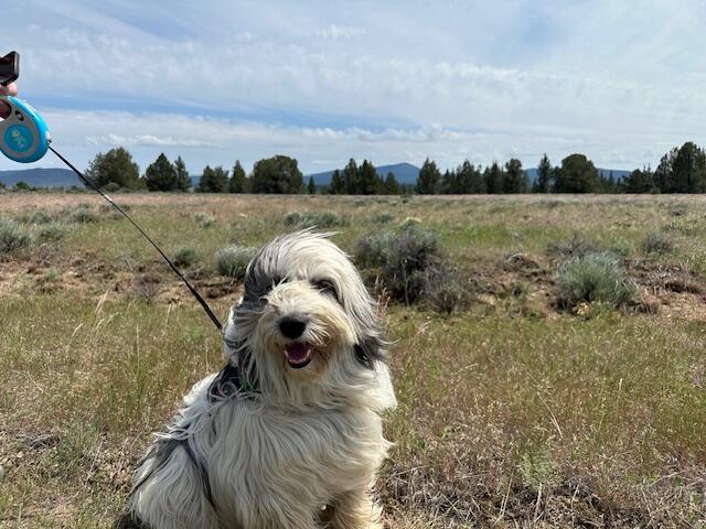 Nimrod River Park - Land