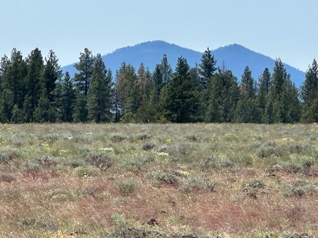Rim Drive
