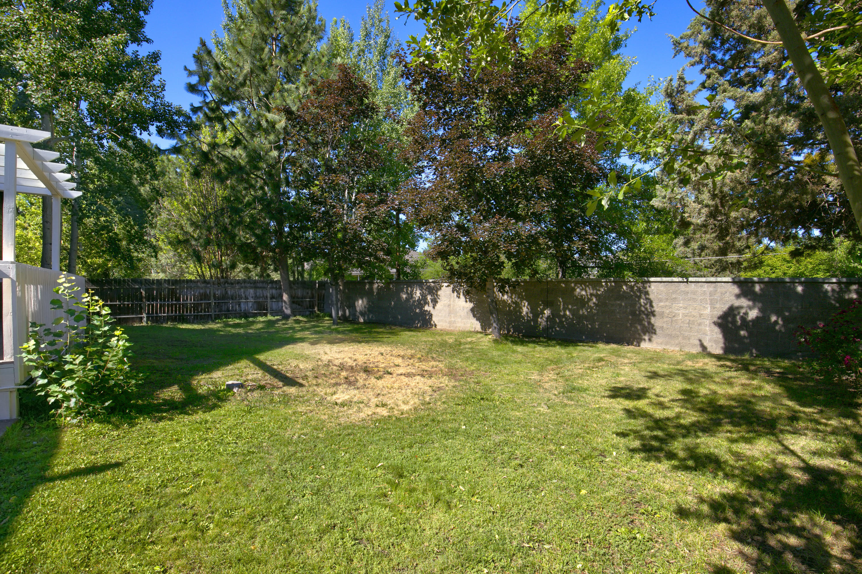 Oak Tree - Residential