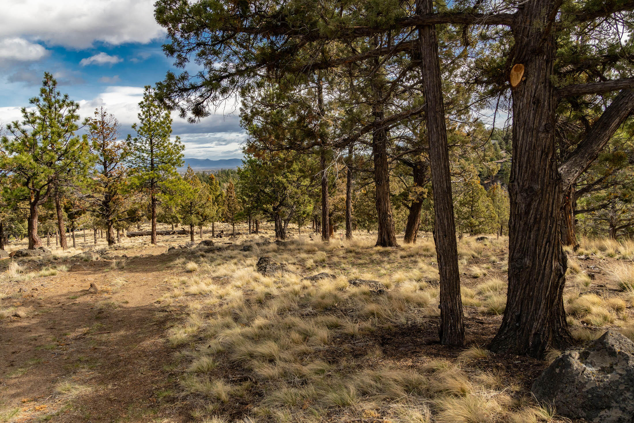 1474 NW Puccoon Court 34