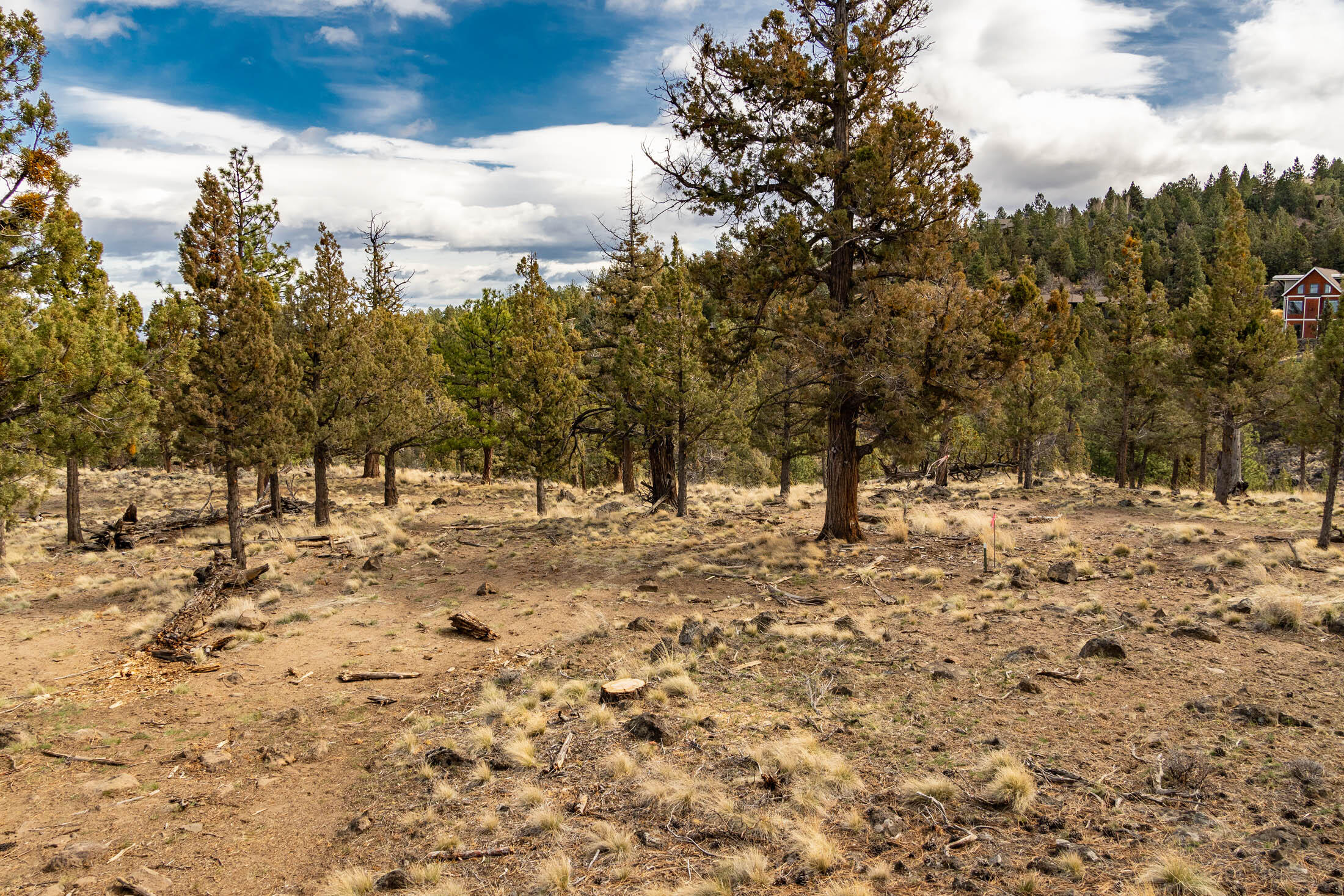 1474 NW Puccoon Court 34