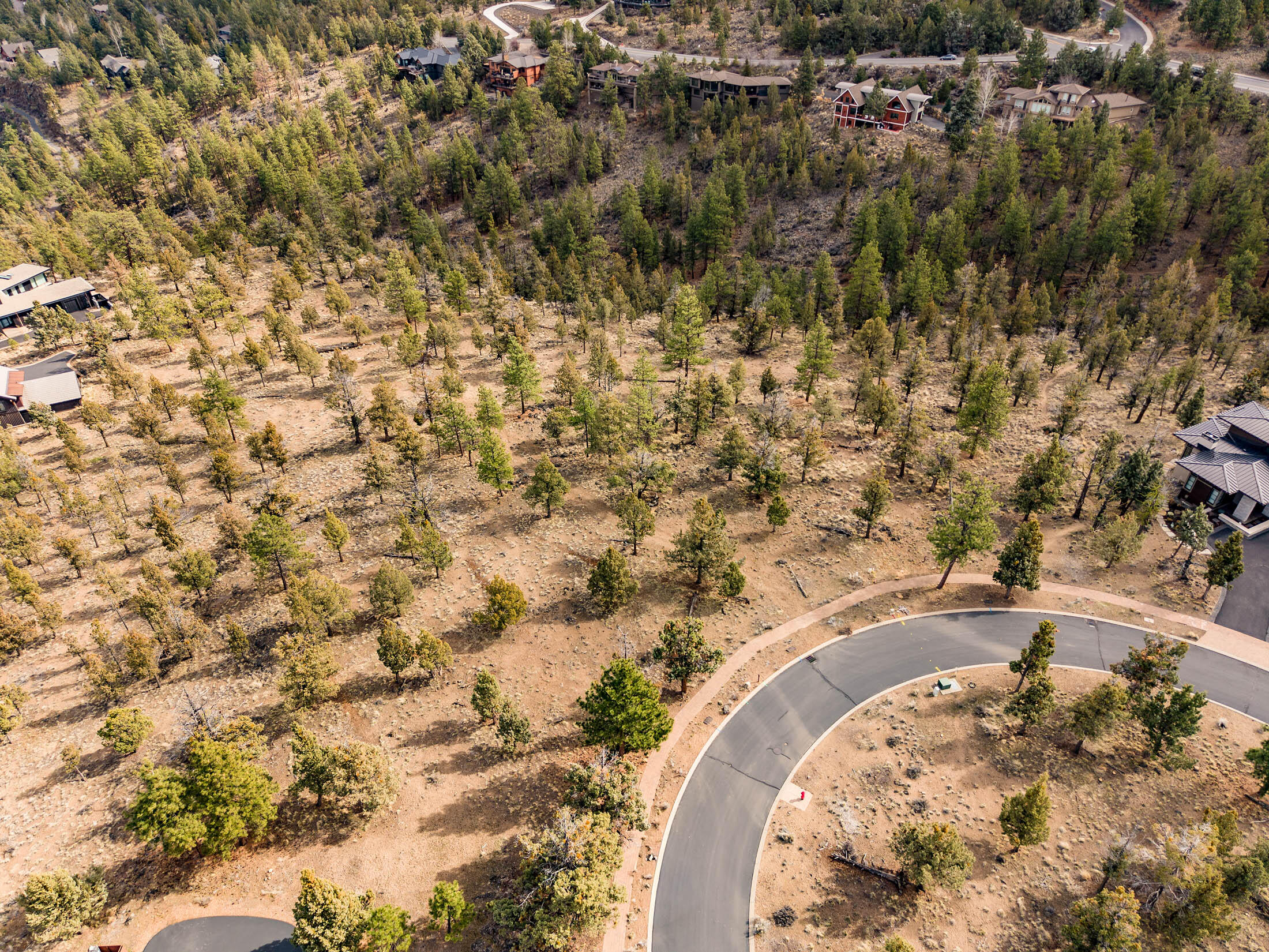 1474 NW Puccoon Ct Lot 34 aerial_0045