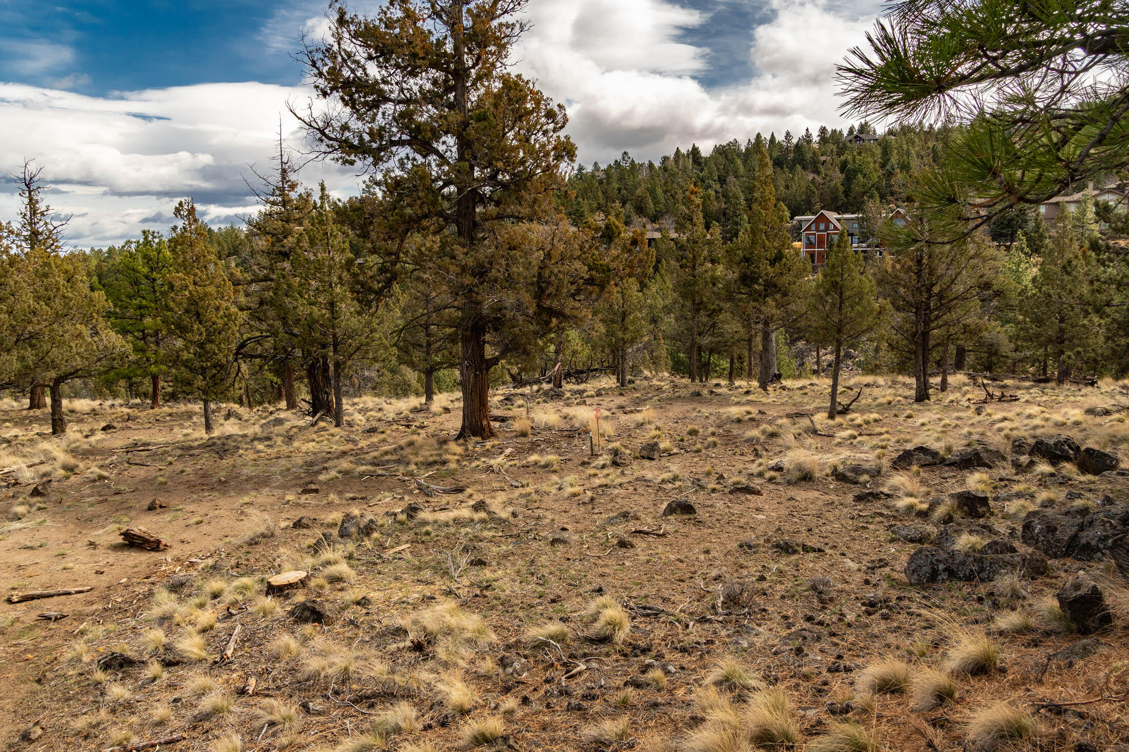 1474 NW Puccoon Court 34