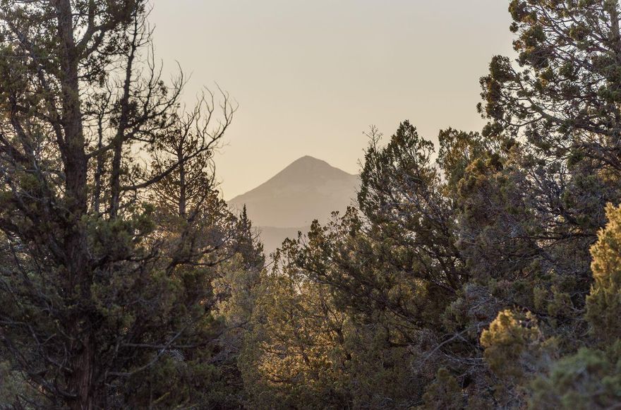 Come and enjoy your own personal paradise in Central Oregon with mountain view second to none! Have the space to build your dream home or an equistrian escape with room for an arena.   All of this plus quick access to all Bend has to offer.  Being less than 5 miles from the Forum Shopping center in NE Bend, the new food court outdoor pavillion, and Pine Nursery park which has an amazing spread of pickle ball courts, baseball fields, a dog park, and miles of walking trails.  The sky is the limit with this property, you have been dreaming it, now build it! Buyer to perform due diligence regarding building potential.