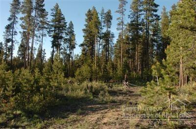 Wagon Trail Acreages - Land